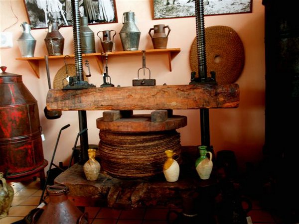 Fotografías de Palmeras